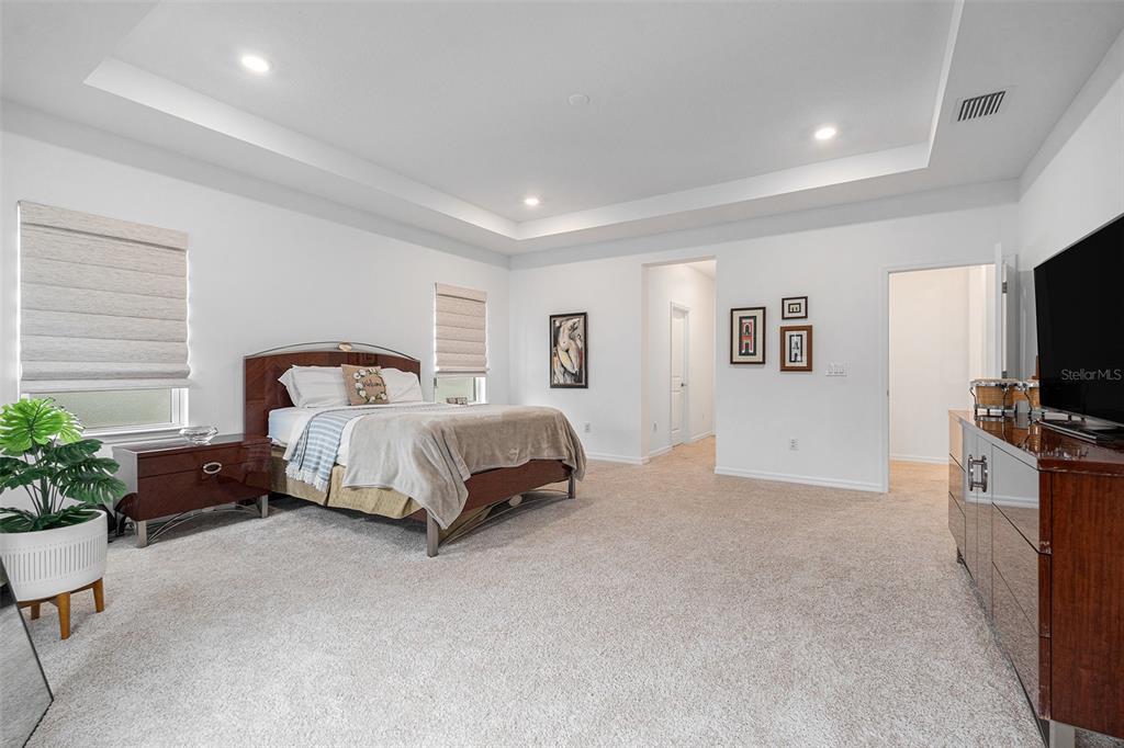 33774 Castaway Loop Wesley Chapel, FL 33543 - Photo 49 of 87
