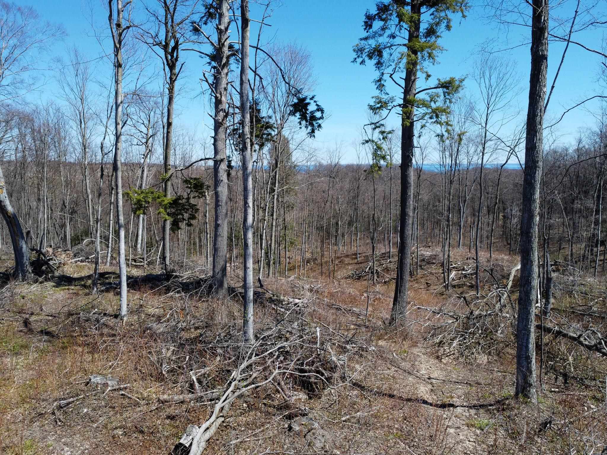 0 East Smiseth Road Suttons Bay, MI 49682 - Photo 46 of 67