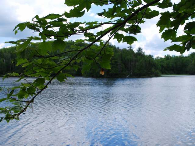8008 Armour Lake Road Presque Isle, WI 54557 - Photo 6 of 10 Gallery Image 6