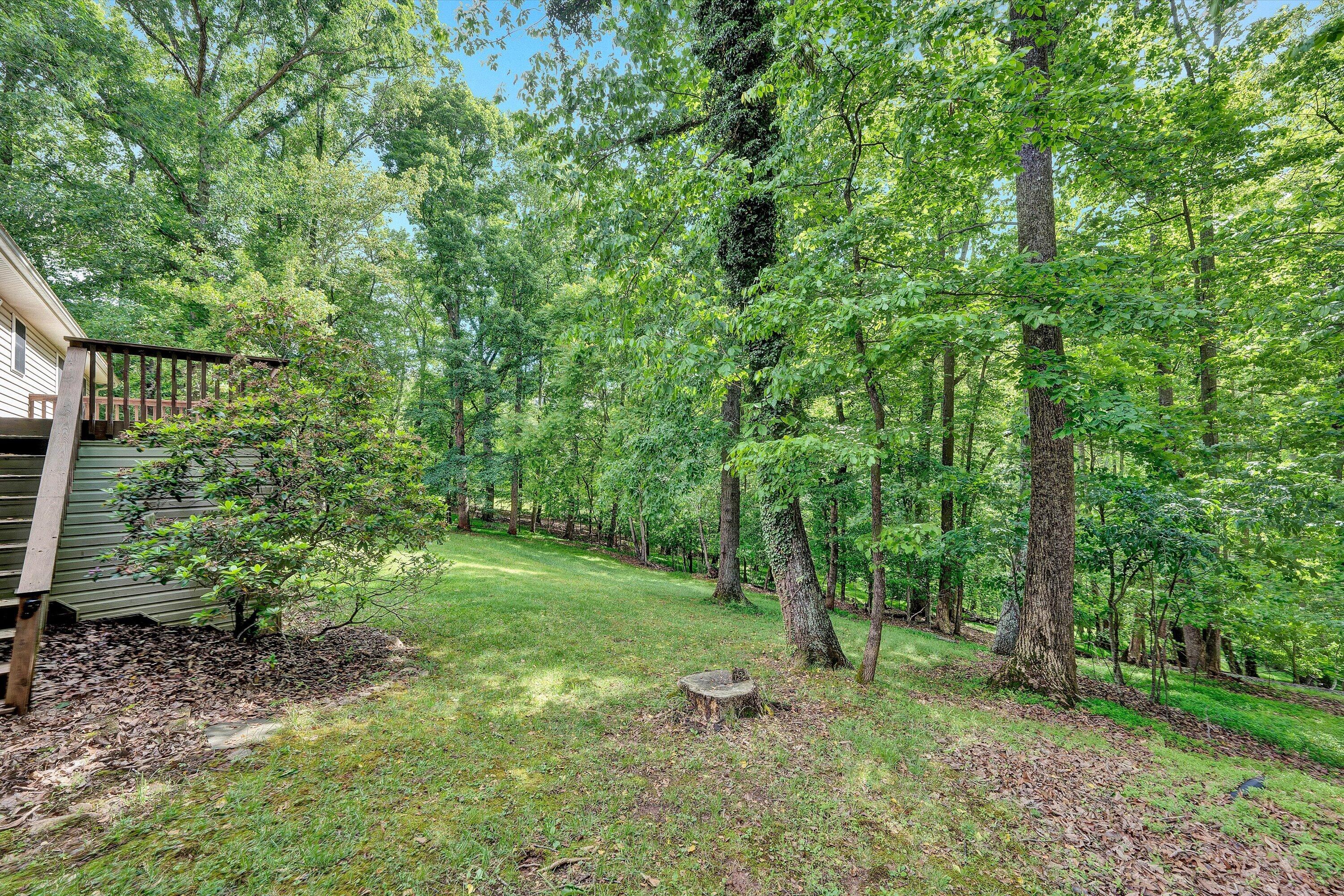 410 Middle Valley Road Hardy, VA 24101 - Photo 39 of 43 39-DSC00094
