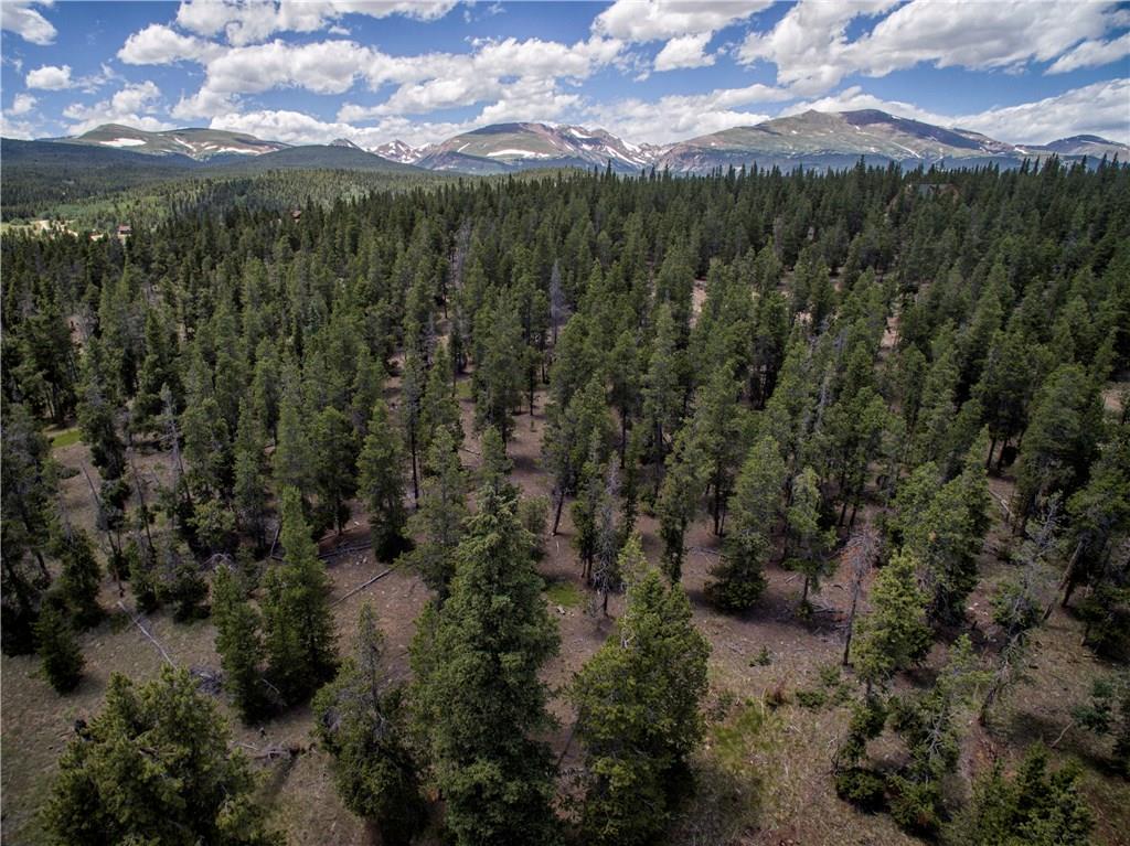 175 Potentilla Road Alma, CO 80420 - Photo 5 of 9 Gallery Image 5