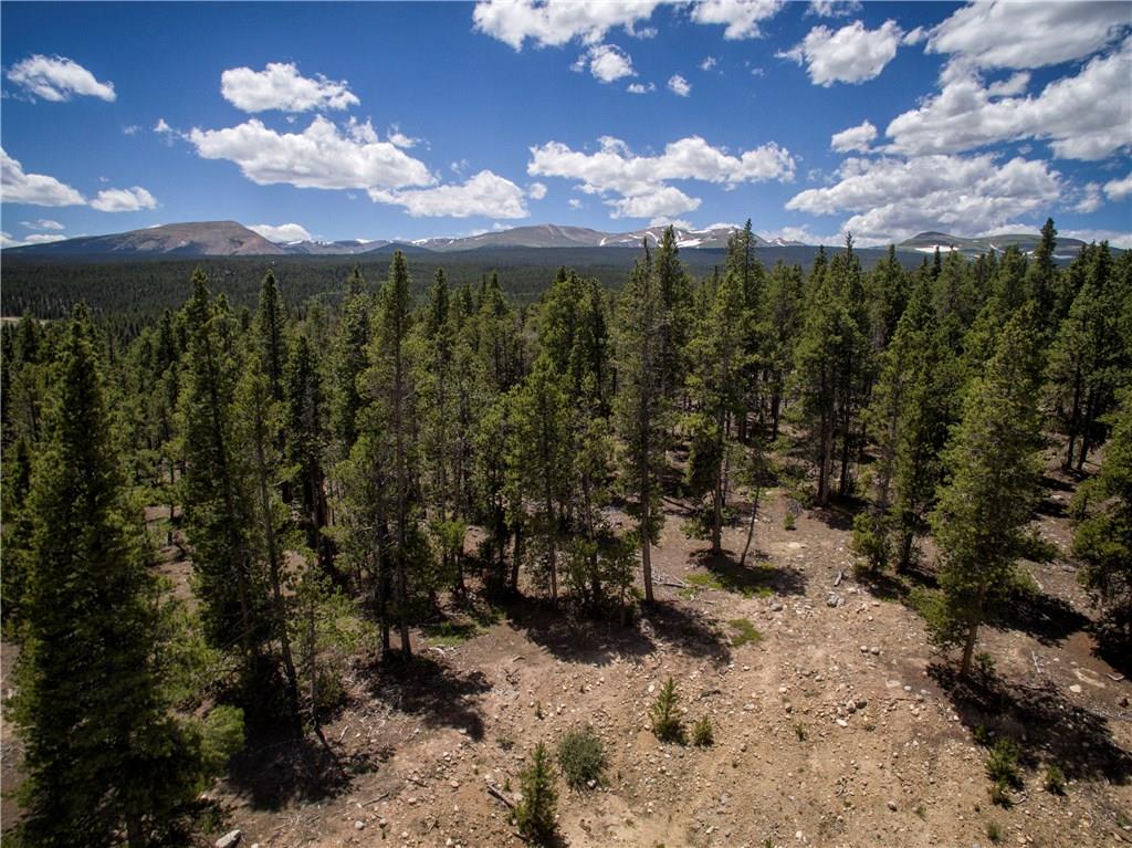 175 Potentilla Road Alma, CO 80420 - Photo 7 of 9 Gallery Image 7