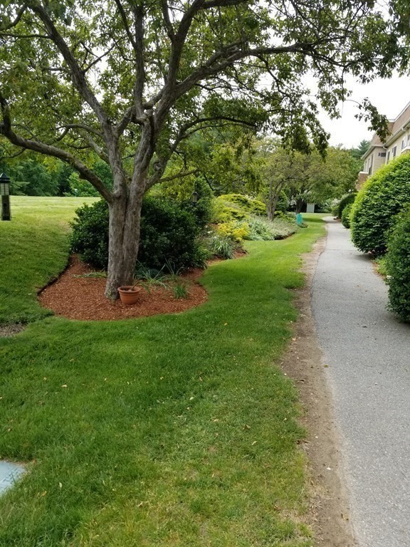 232 Swanson Road, Unit 628 Boxborough, MA 01719 - Photo 9 of 10 a view of a park with a tree
