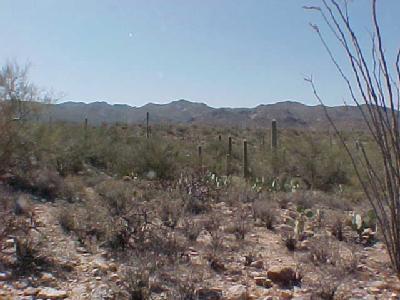 38615 South Carpenter Ranch Road Marana, AZ 85653 - Photo 1 of 6