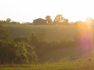 316 Ross Road Lancaster, KY 40444 - Photo 22 of 23 Photo 21