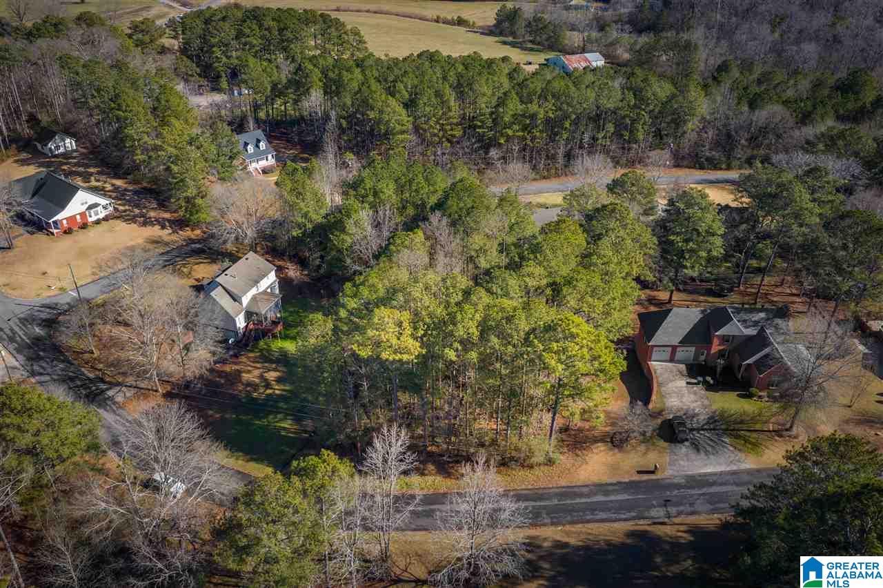 0 Scenic Trail, Unit 1 Oneonta, AL 35121 - Photo 8 of 18