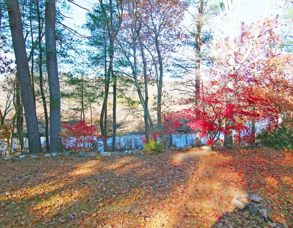 16 Meadowbrook Road Bedford, MA 01730 - Photo 21 of 22 Gallery Image 21