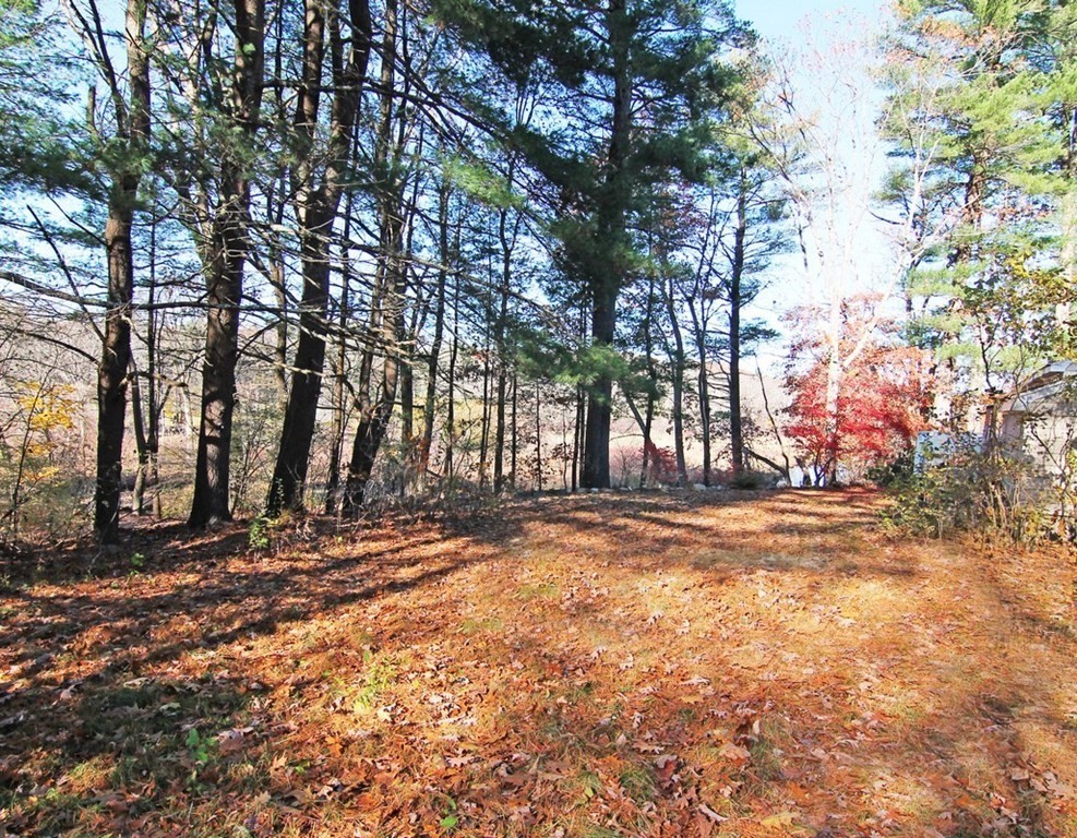 16 Meadowbrook Road Bedford, MA 01730 - Photo 22 of 22 Gallery Image 22