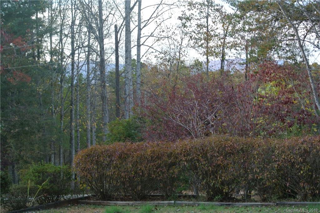 721 Freemantown Road Rutherfordton, NC 28139 - Photo 3 of 16