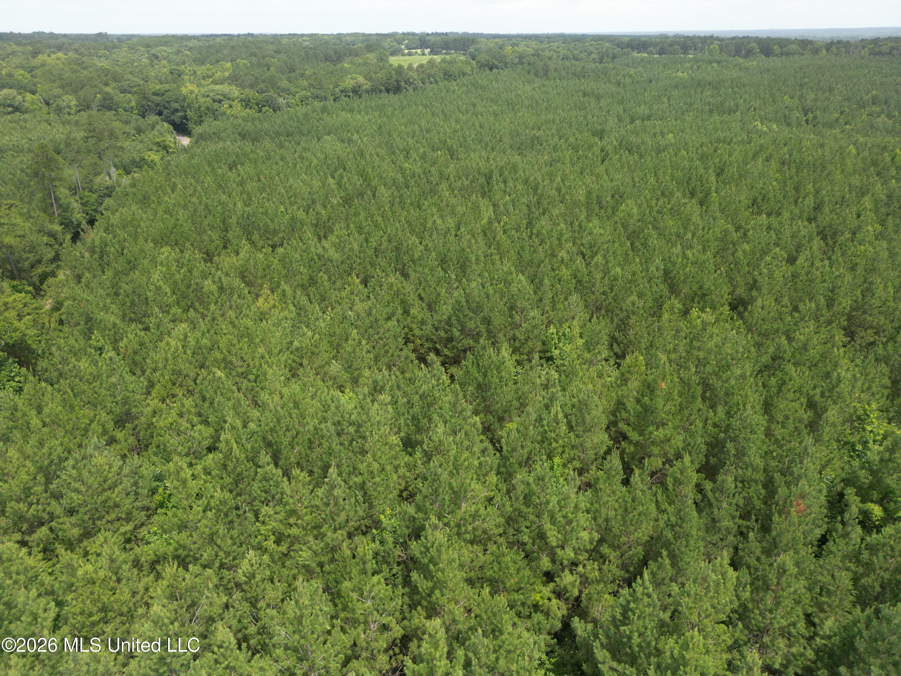 Summit Holmesville Road McComb, MS 39648 - Photo 6 of 29 DJI_0614