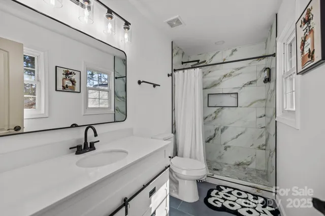 a bathroom with a sink toilet a shower and a mirror