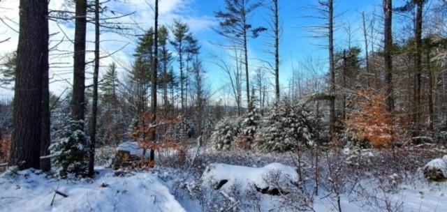 Lot 0001 Naples Road Harrison, ME 04040 - Photo 11 of 20 Image11