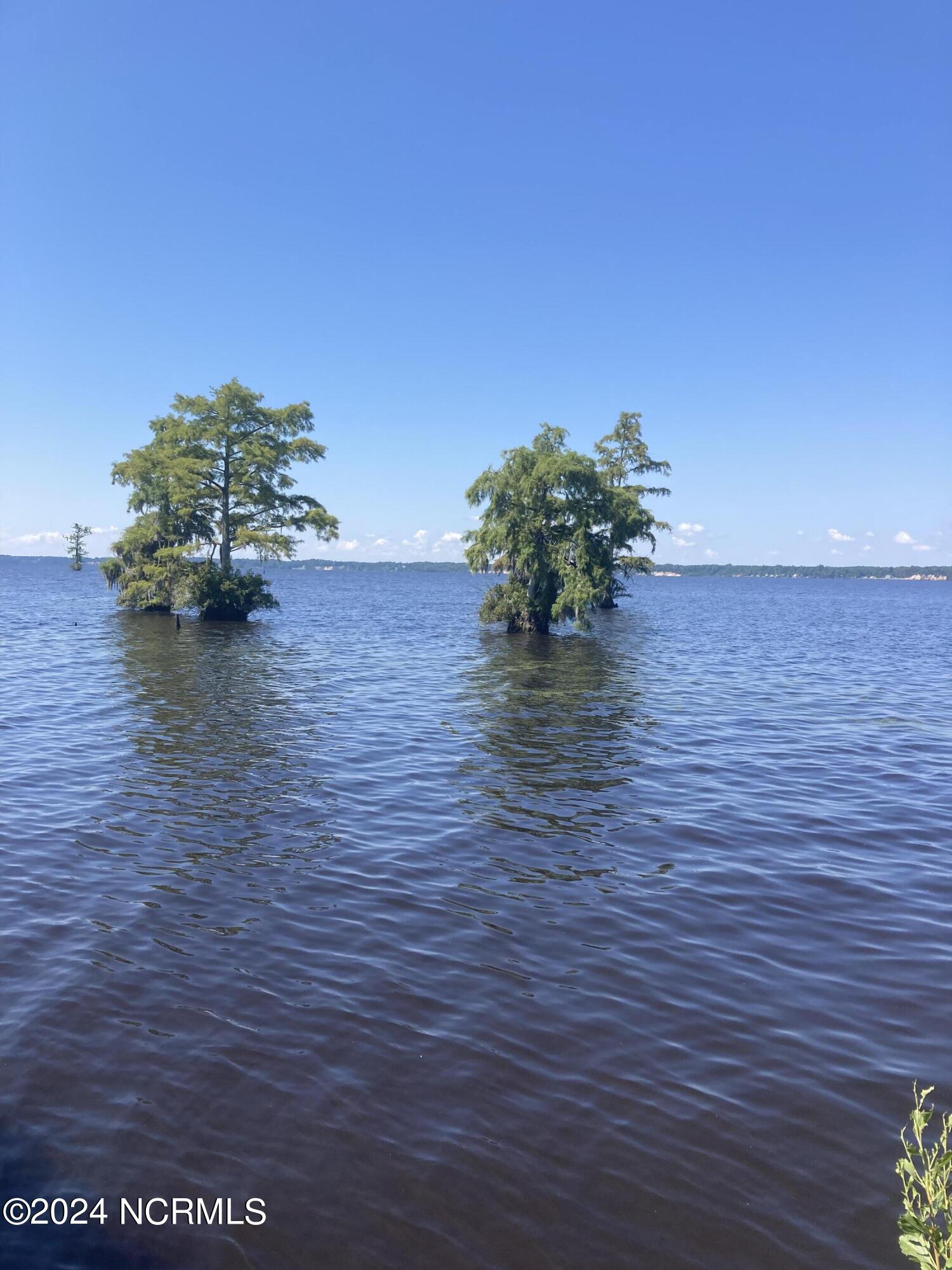 3047 Bass Landing Road Edenton, NC 27932 - Photo 5 of 19 IMG_8845