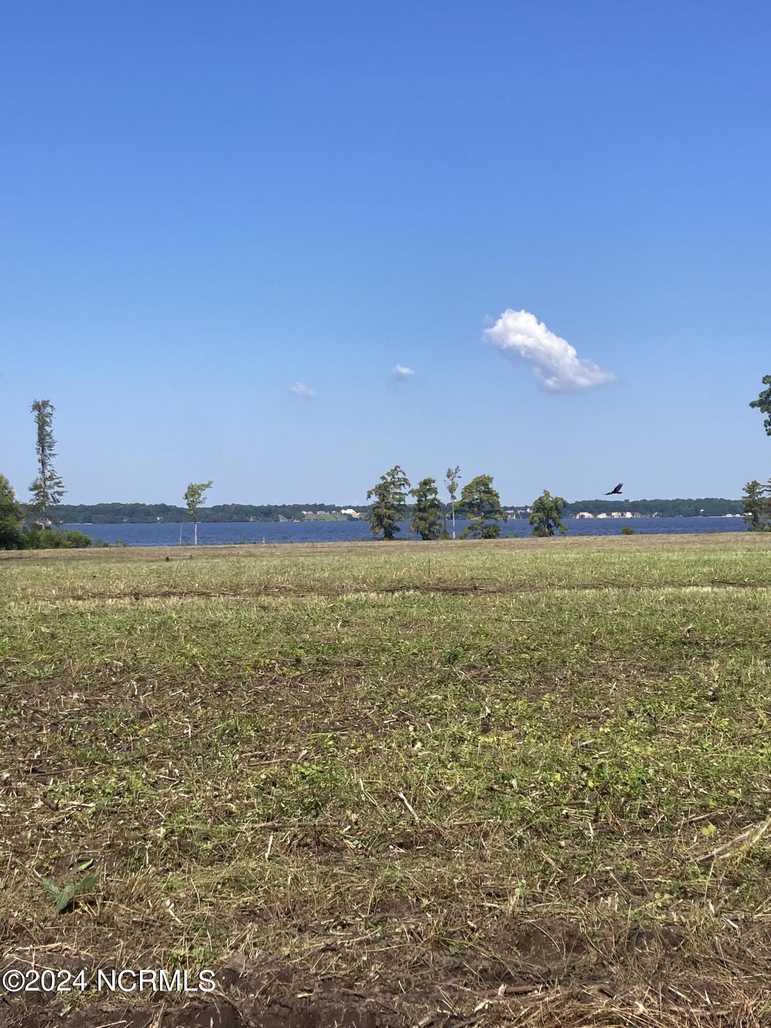 3047 Bass Landing Road Edenton, NC 27932 - Photo 8 of 19 IMG_8834