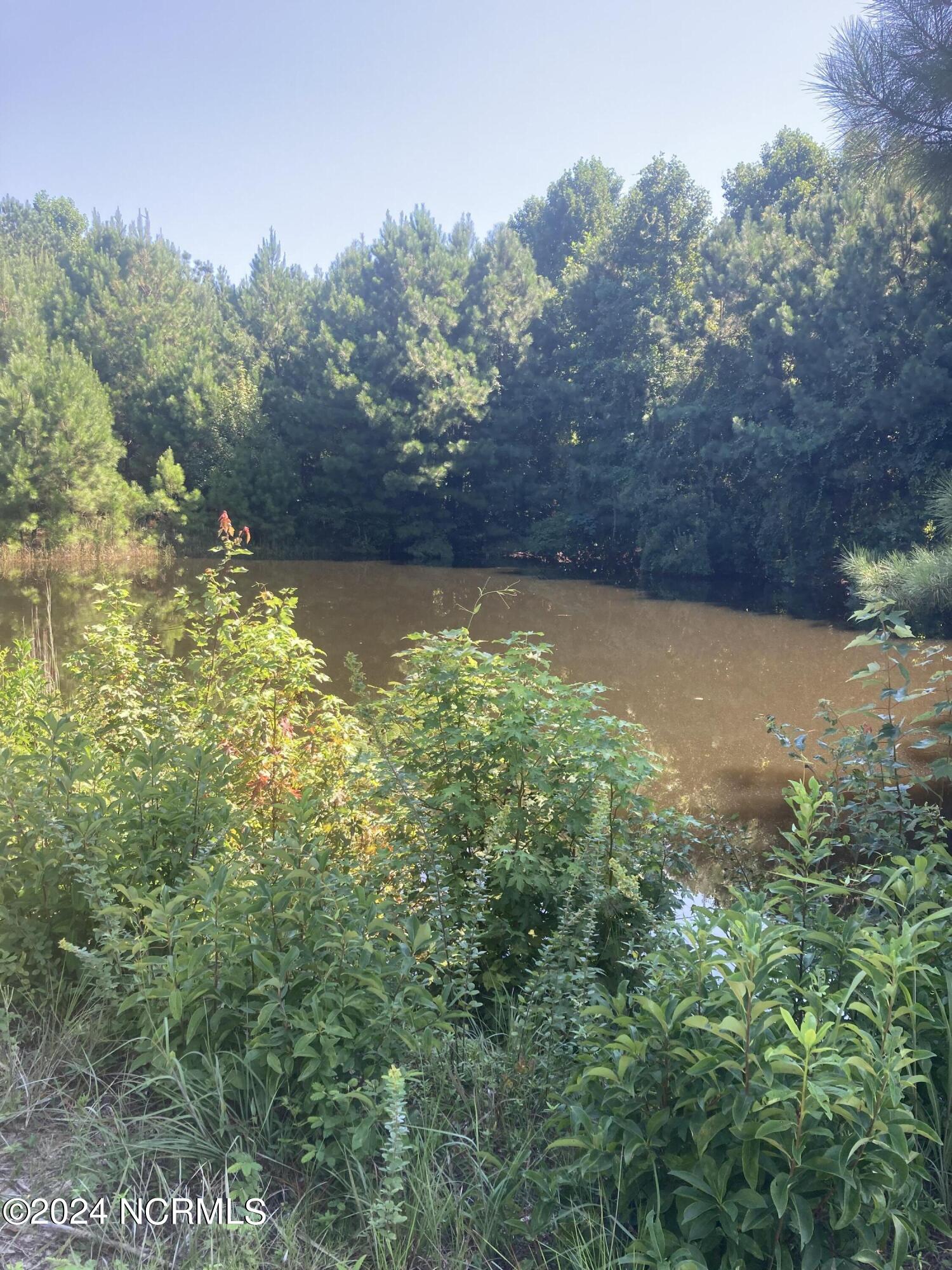 3047 Bass Landing Road Edenton, NC 27932 - Photo 10 of 19 IMG_8830