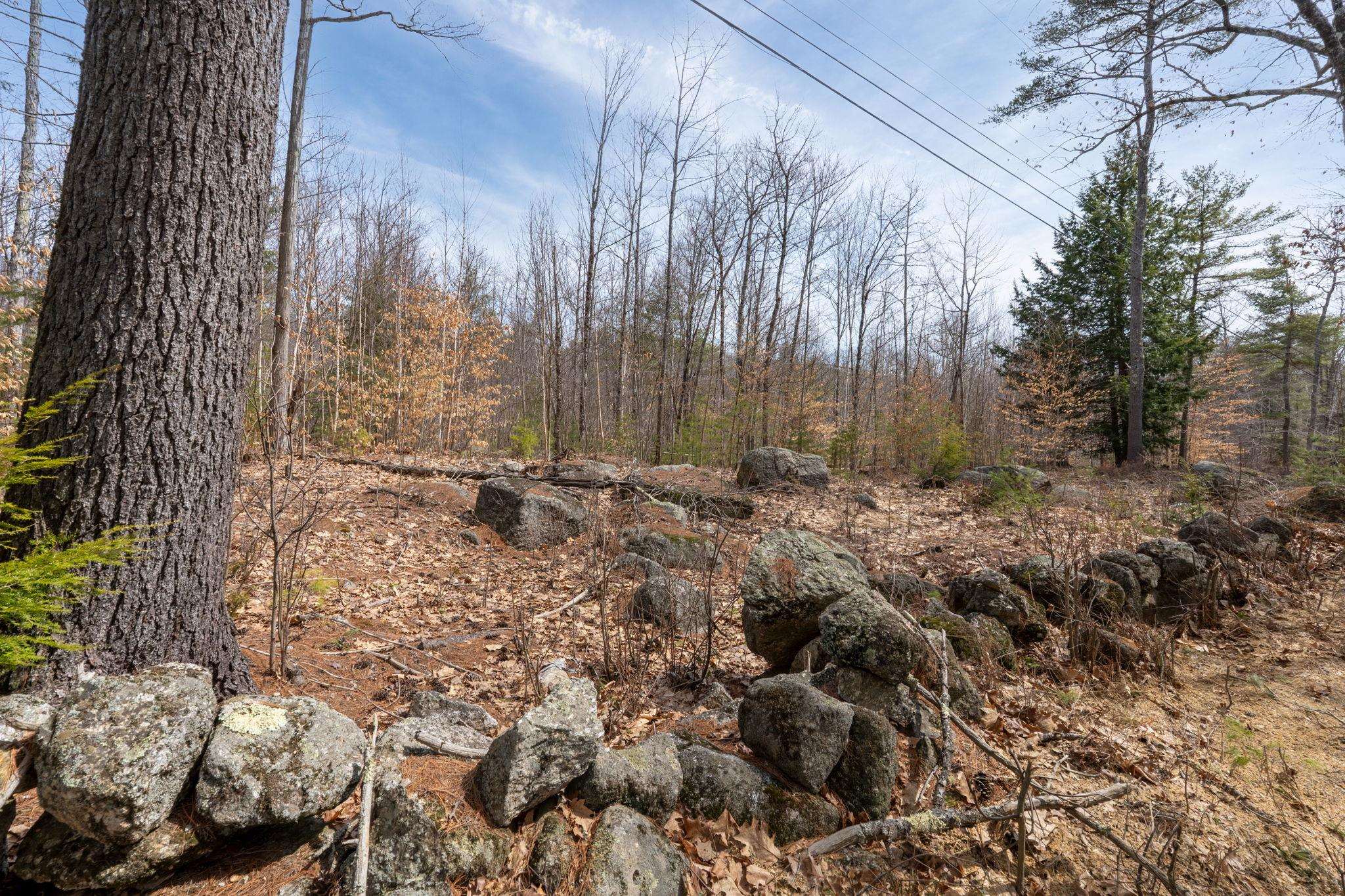 0 Roxbury Road, Unit LOT 1 Meredith, NH 03253 - Photo 8 of 16