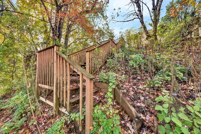 a view of a yard with plants and trees