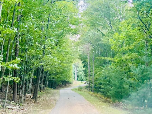 4339 West Fox Farm Road Manistee, MI 49660 - Photo 55 of 68 IMG_7797