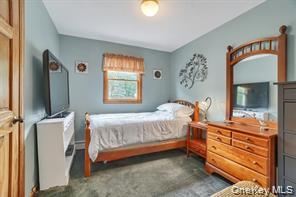 153 Barnes Road Washingtonville, NY 10992 - Photo 18 of 36