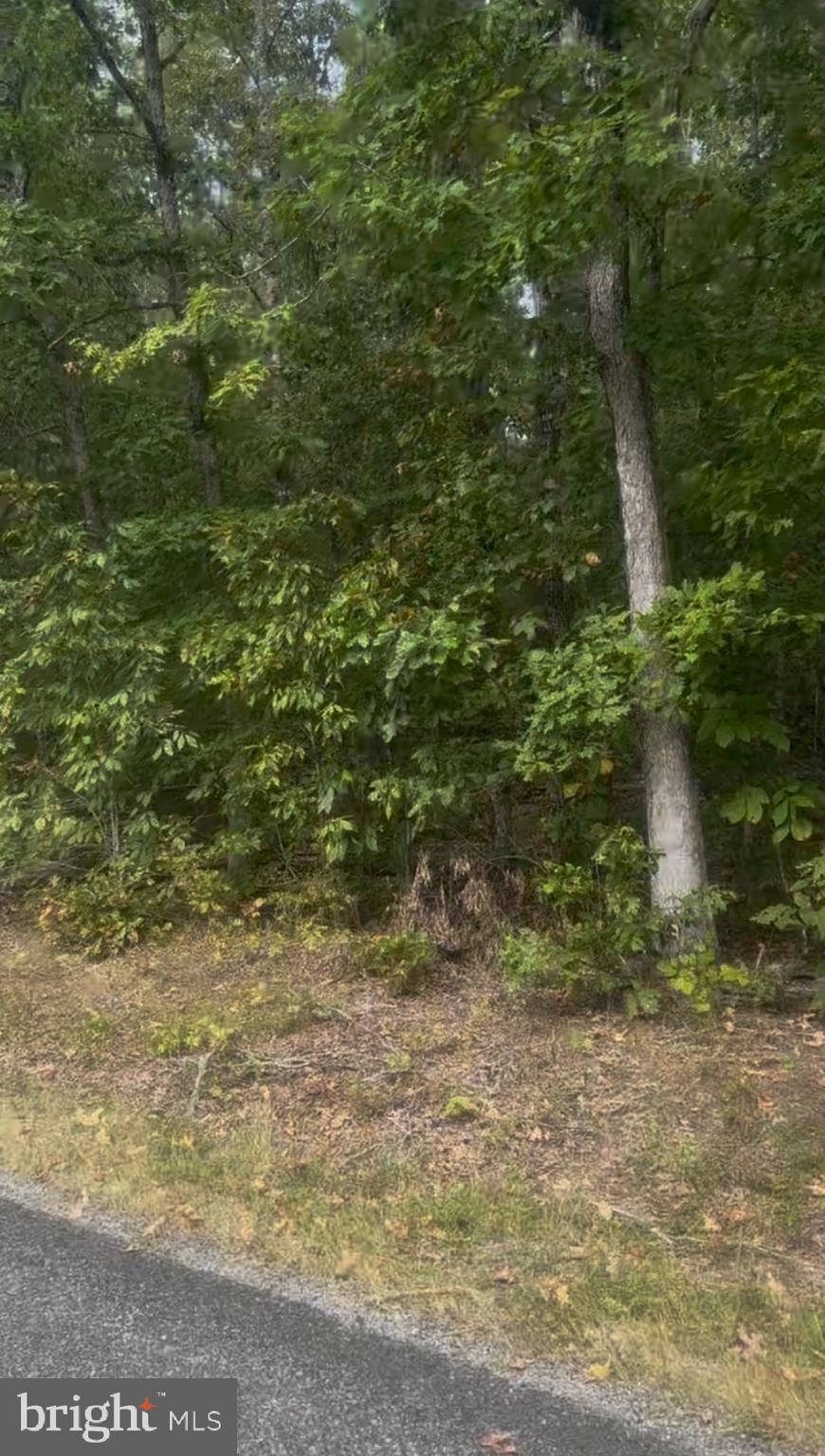 Log Cabin Beaverdam, VA 23015 - Photo 2 of 3 a view of a yard
