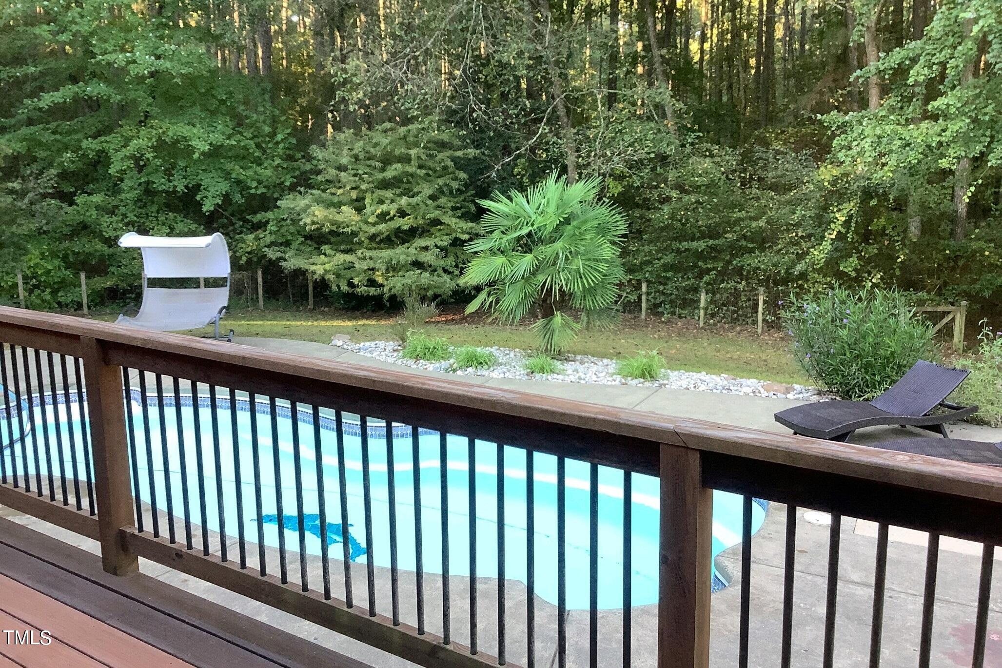 1141 Fleming Road Creedmoor, NC 27522 - Photo 44 of 45 Palm Tree View