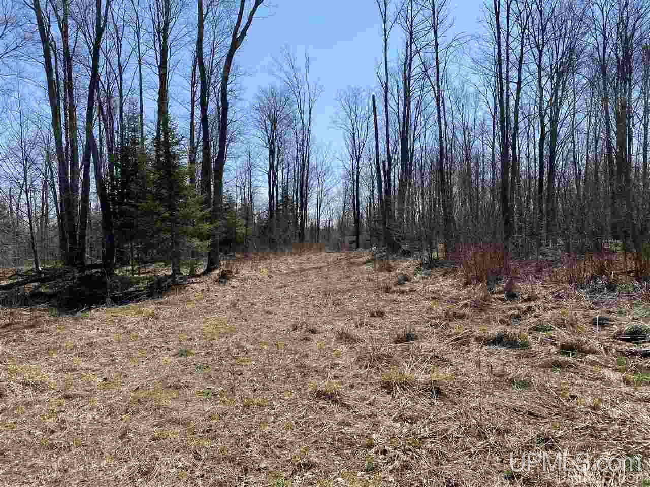 Off Nelson Road Glidden, WI 54527 - Photo 14 of 23