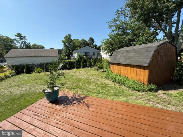 a view of a bunch of trees in a field