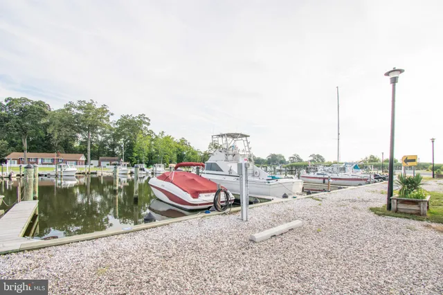 a view of a backyard with a garden