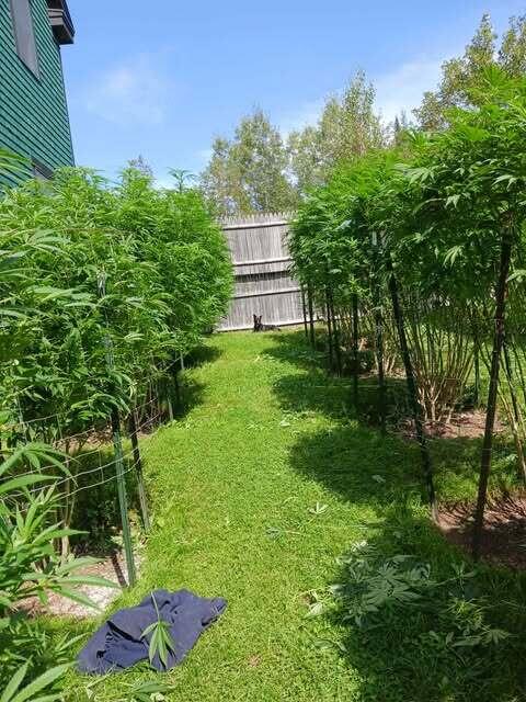 130 Farmers Hill Road Andover, ME 04216 - Photo 2 of 70 657061157_2165137220889590_9151094739666