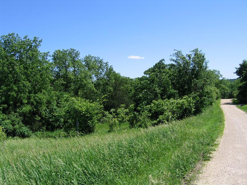 47 Deer Island View Road Eastman, WI 54626 - Photo 1 of 1 Woods