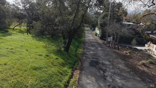 a view of a forest with trees