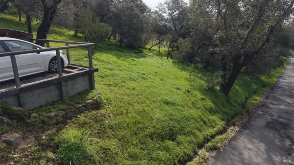 a view of a backyard with plants