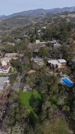 a view of a forest with a forest