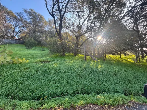 a view of yard with green space