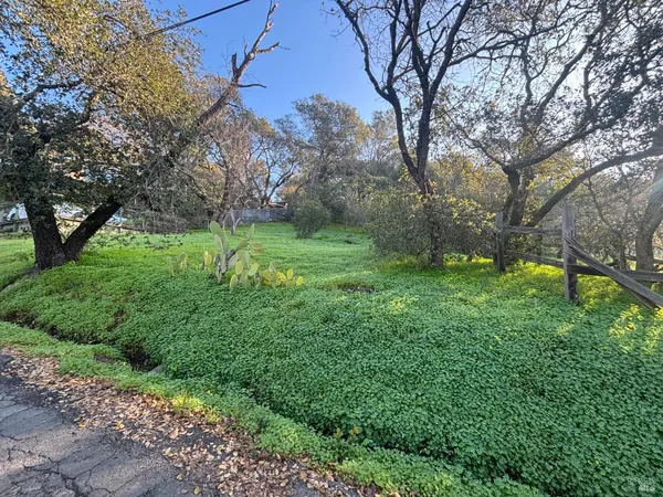a view of backyard with large trees