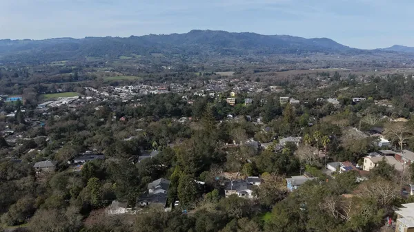 an aerial view of residential house and green space