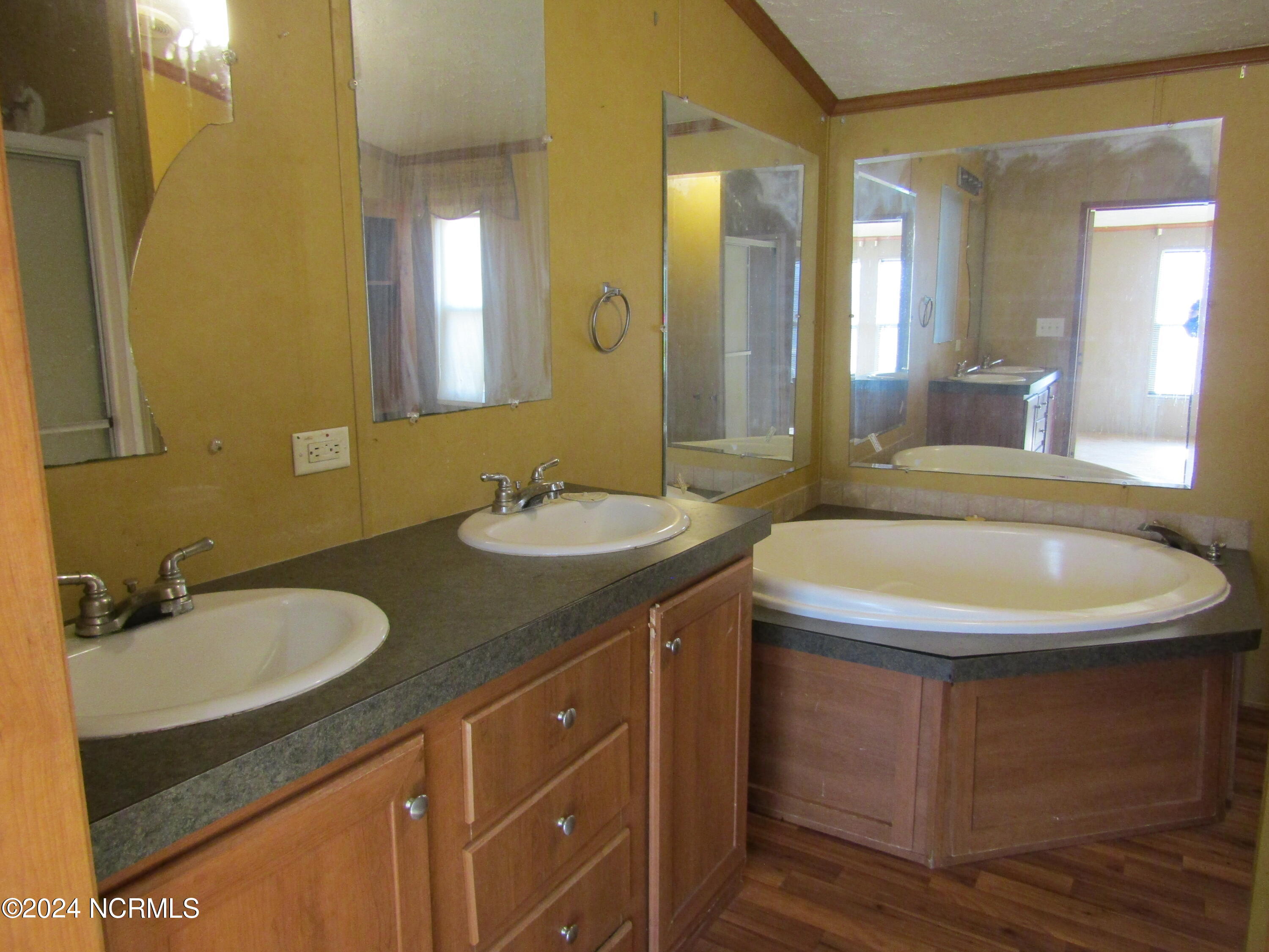 1786 Long Ridge Road Plymouth, NC 27962 - Photo 10 of 39 Primary Bath View 1