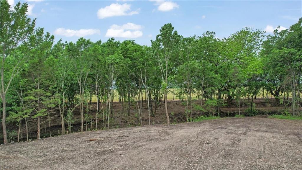 0 Jameson Road Sherman, TX 75090 - Photo 11 of 29