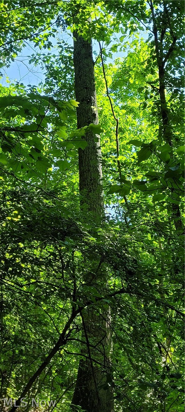 Hollis Clark Road Caldwell, OH 43724 - Photo 23 of 49