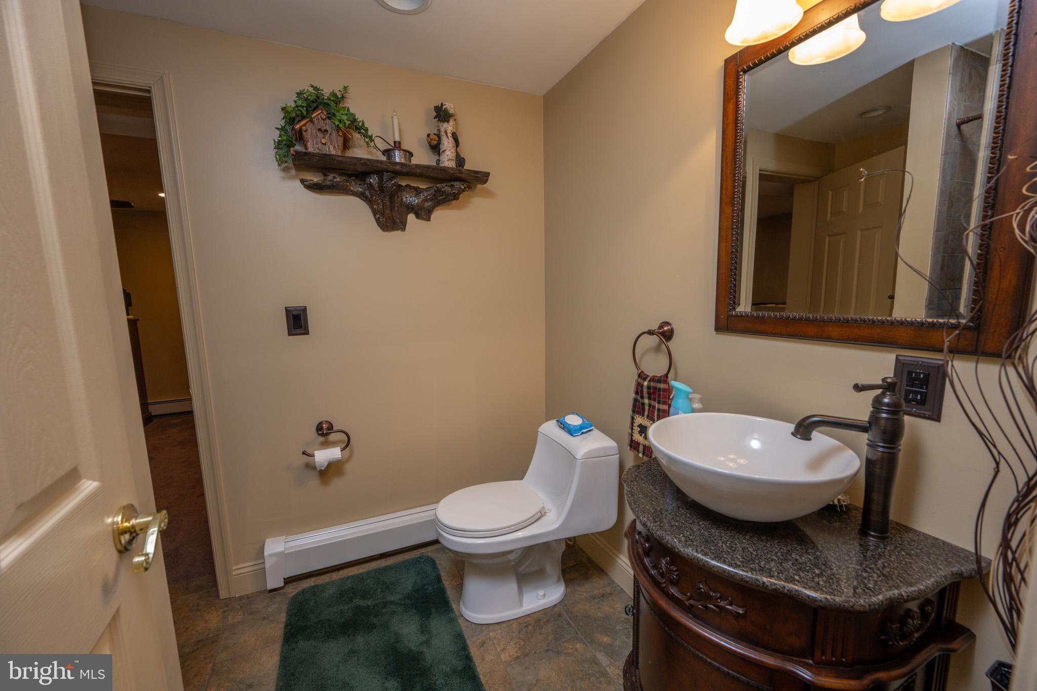 542 Bench Road Swanton, MD 21561 - Photo 32 of 59 Lower-level full bathroom
