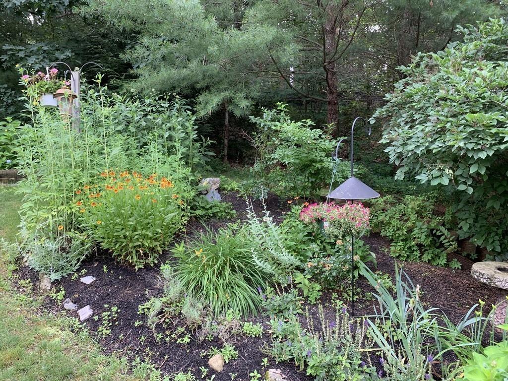 1 Carter Lane Andover, MA 01810 - Photo 39 of 40