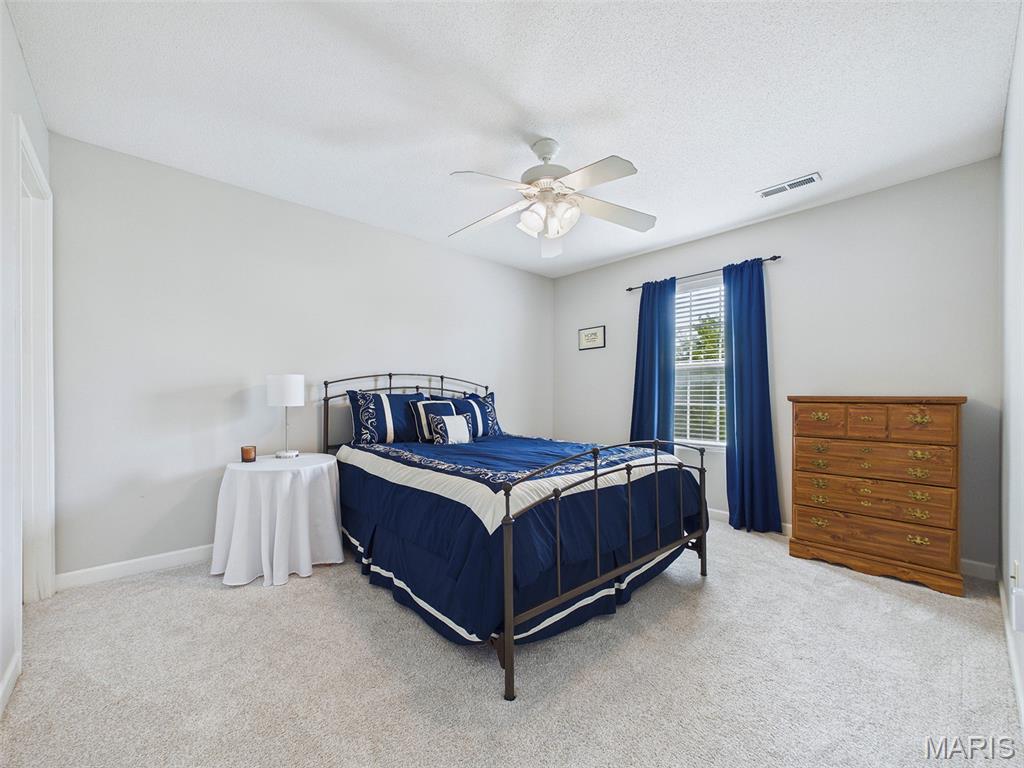 3339 Piazza Lane Edwardsville, IL 62025 - Photo 34 of 49