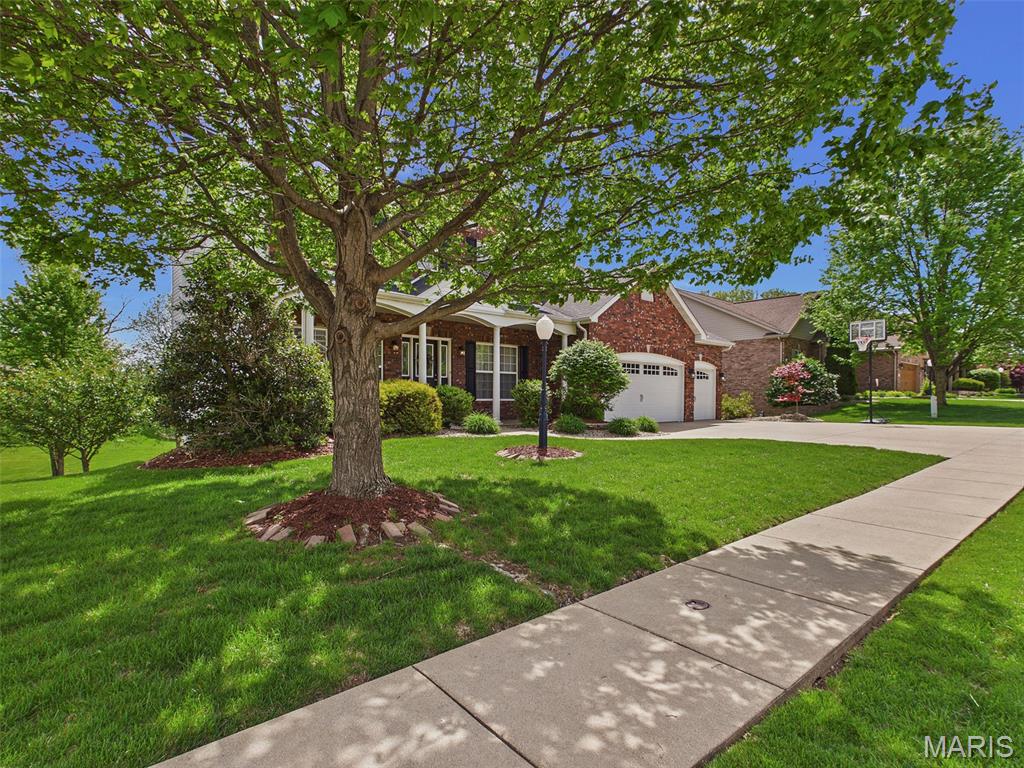 3339 Piazza Lane Edwardsville, IL 62025 - Photo 4 of 49