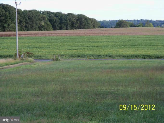 22121 Batna Road Culpeper, VA 22701 - Photo 18 of 19 View