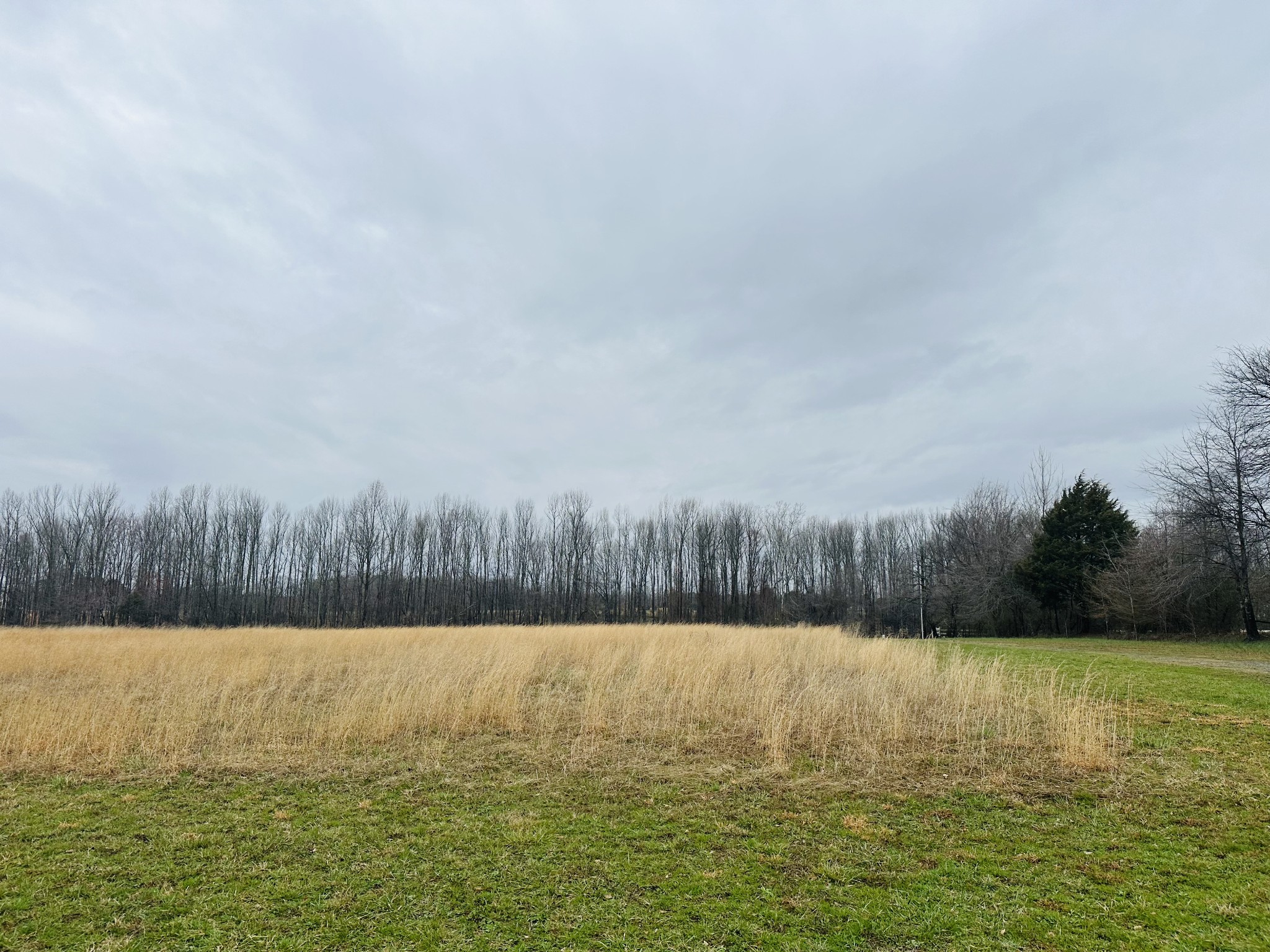 362 Mason Road Elora, TN 37328 - Photo 8 of 27