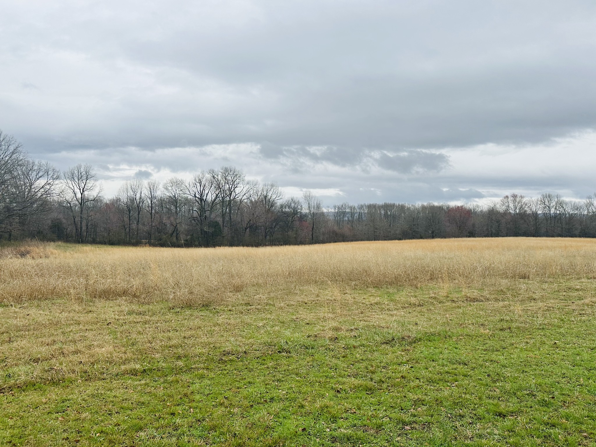 362 Mason Road Elora, TN 37328 - Photo 9 of 27