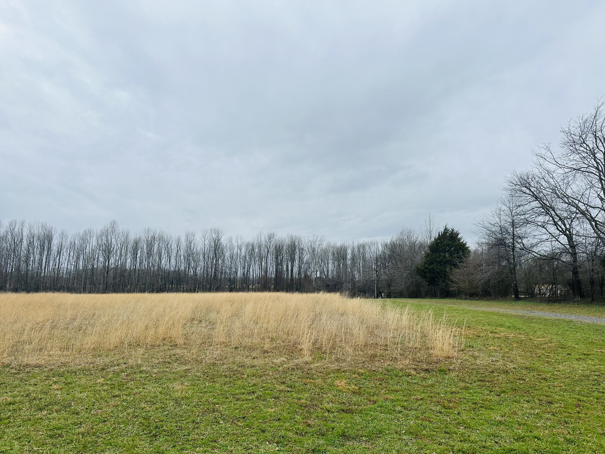 362 Mason Road Elora, TN 37328 - Photo 10 of 27