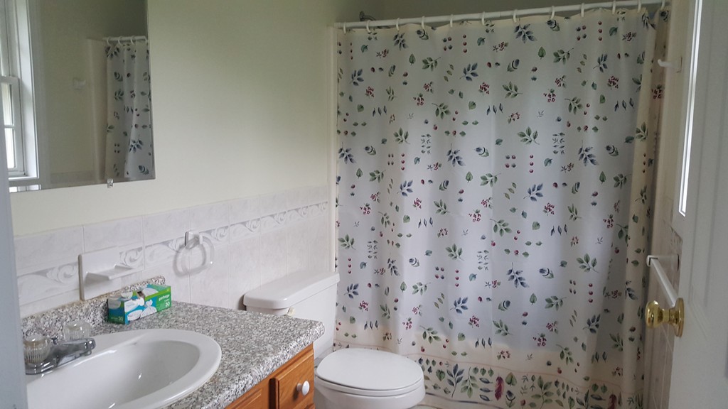 10 Irving Road Randolph, MA 02368 - Photo 11 of 15 Gallery Image 11