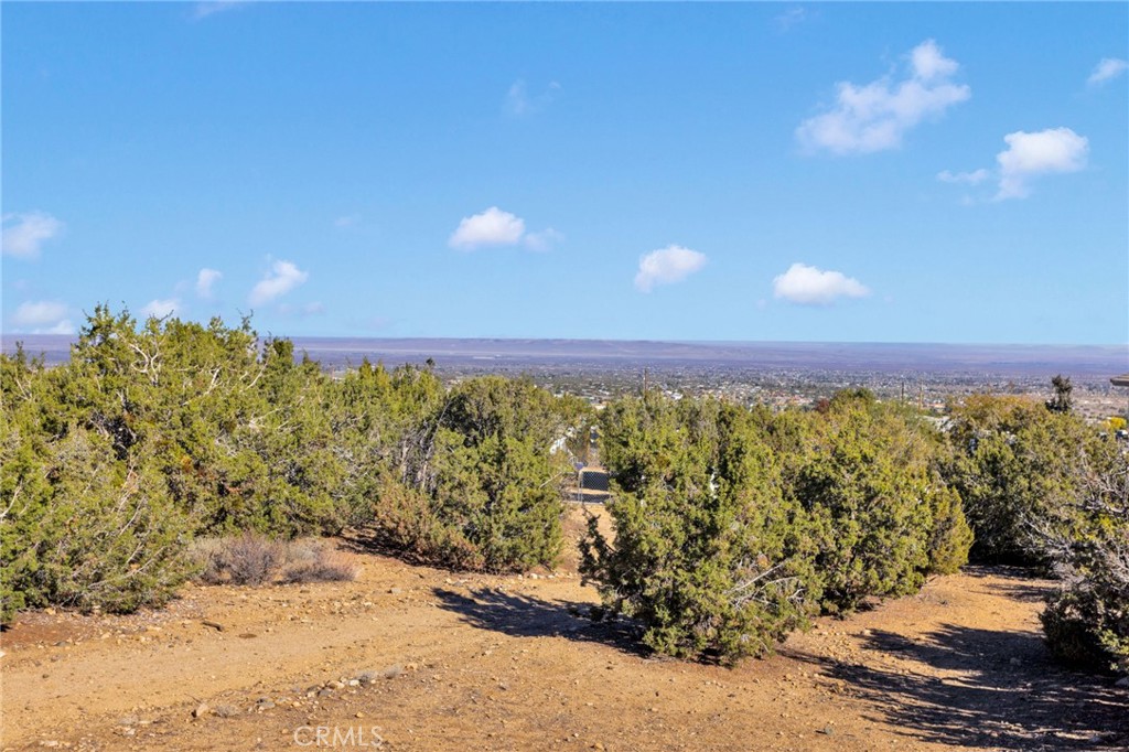 2909 Silver Ridge Drive Pinon Hills, CA 92372 - Photo 40 of 55