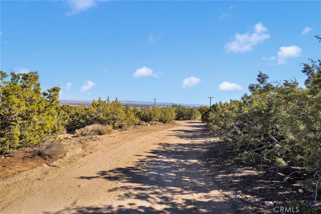 2909 Silver Ridge Drive Pinon Hills, CA 92372 - Photo 46 of 55 a view of a beach with a tree in the background